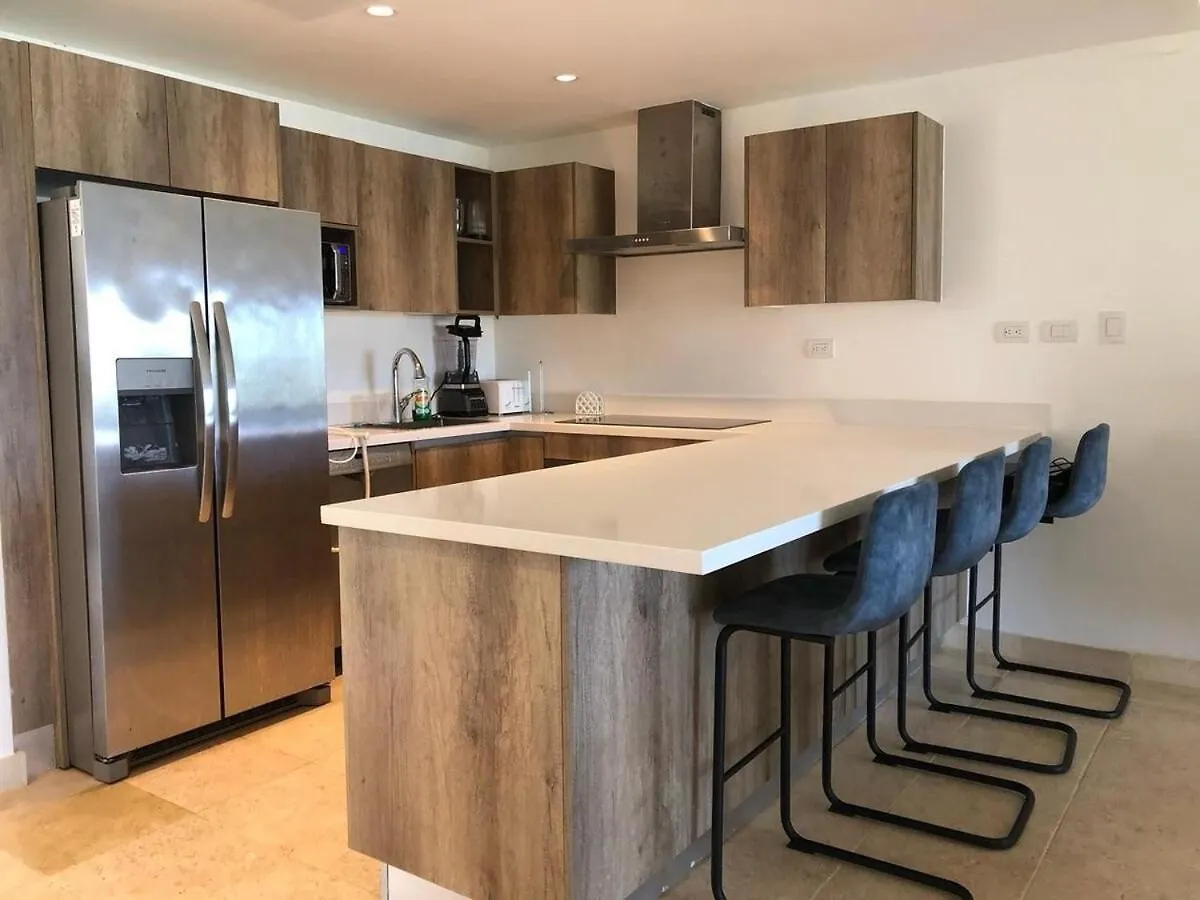 Apartment Large And Spacious 1 Bedroom Beachfront Condo In Cap Cana, Punta Cana